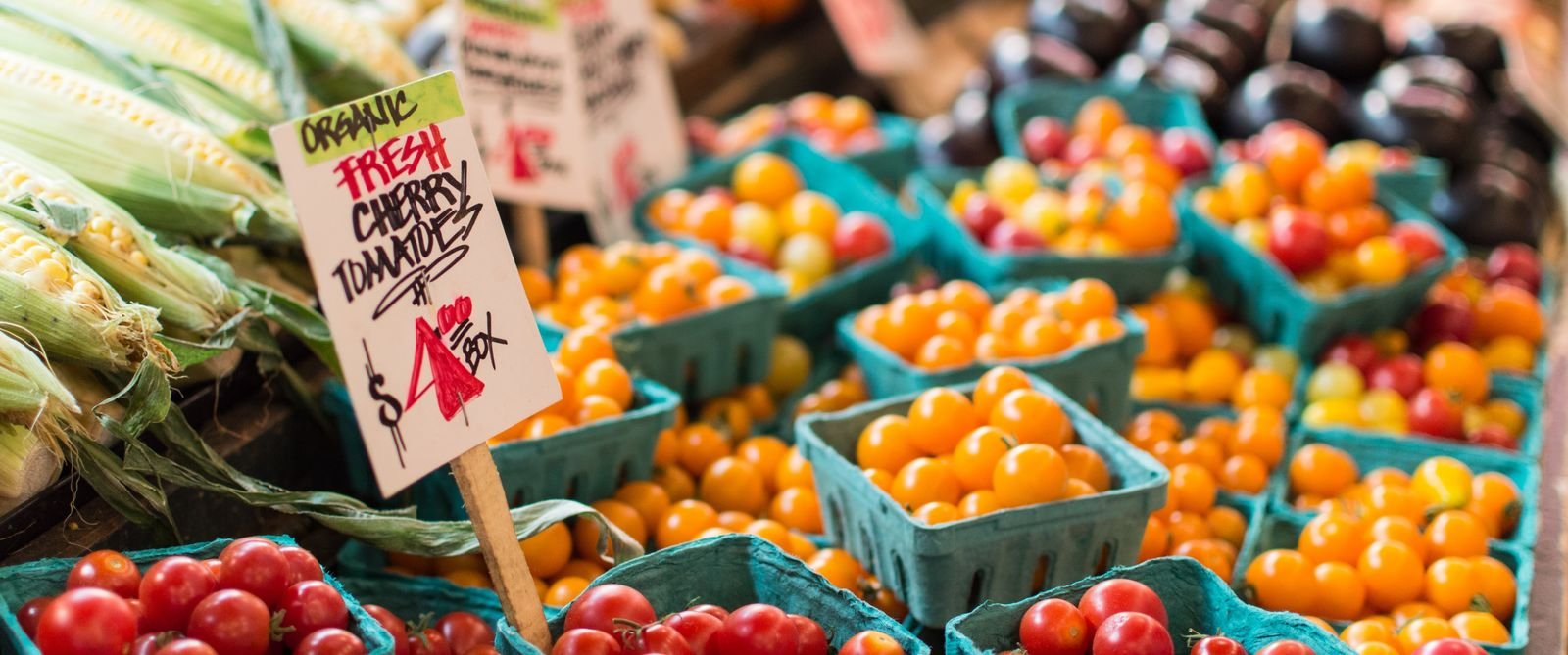 farmers market in muckoka organic tomatoes (1)